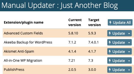 Bulk Plugin Updater